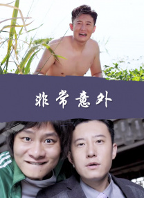 年轻的秘书hd